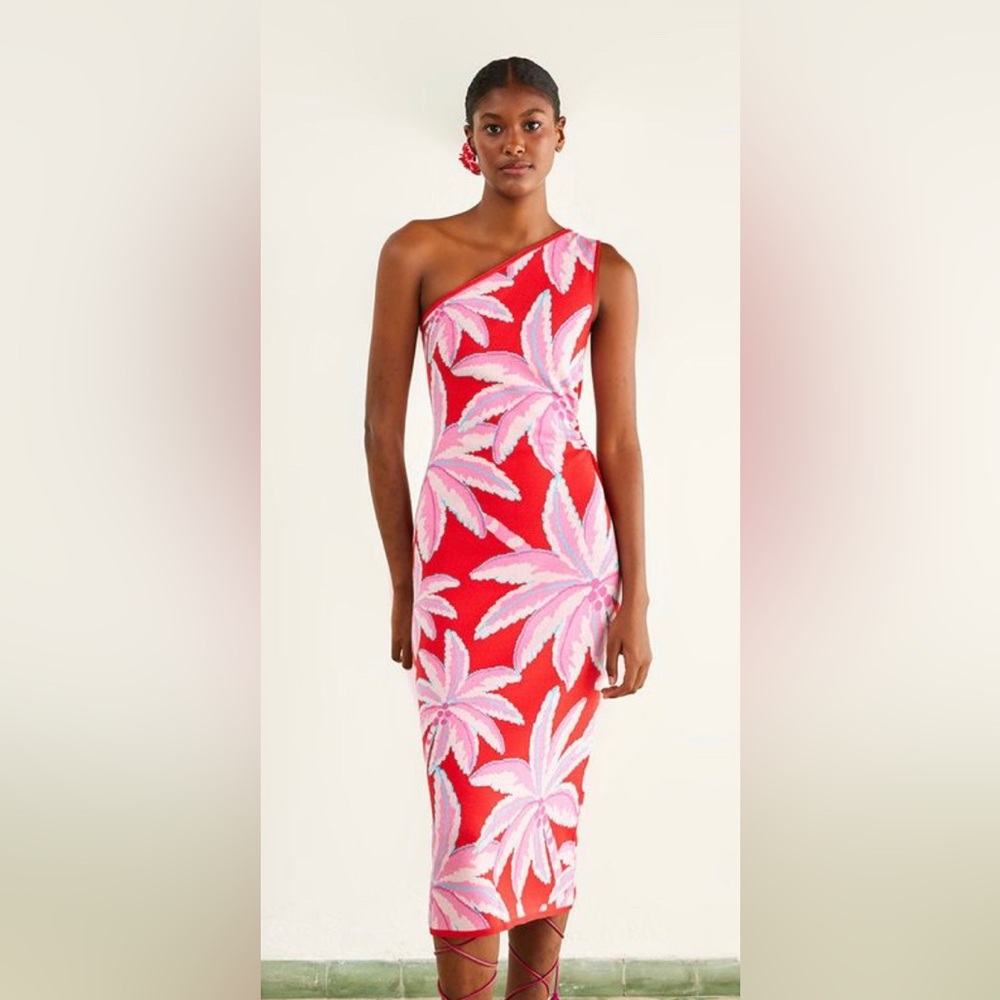 Farm Rio Knit Dress